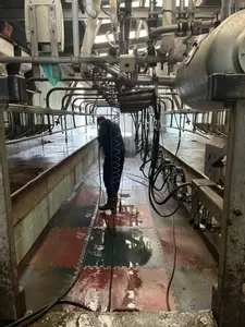 Operator washing the dairy parlour floor using the pressure washer SystemWash at a farm in Atherstone.